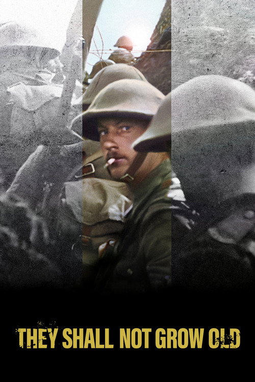 They Shall Not Grow Old poster