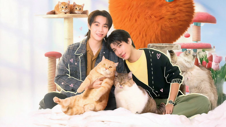 Cat for Cash backdrop