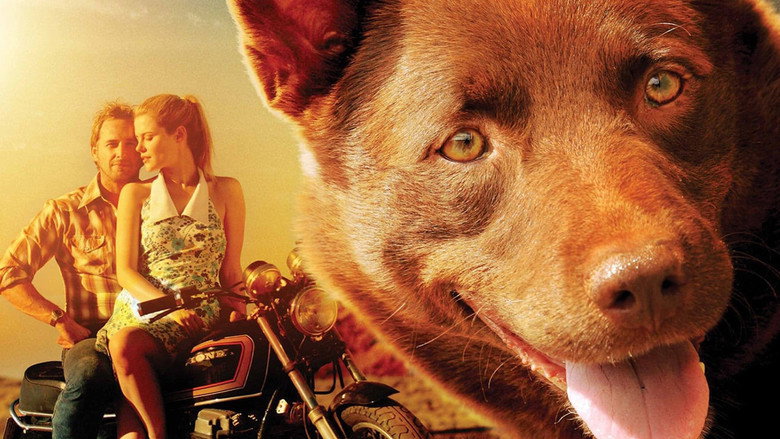 Red Dog backdrop