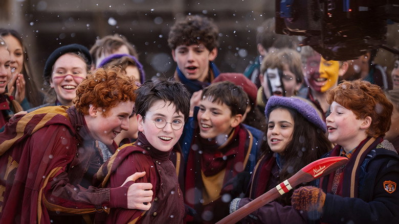 Harry Potter backdrop