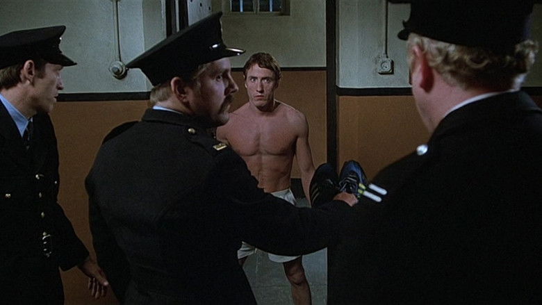 McVicar backdrop