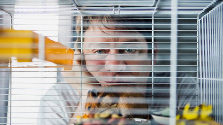 Der Hamster backdrop