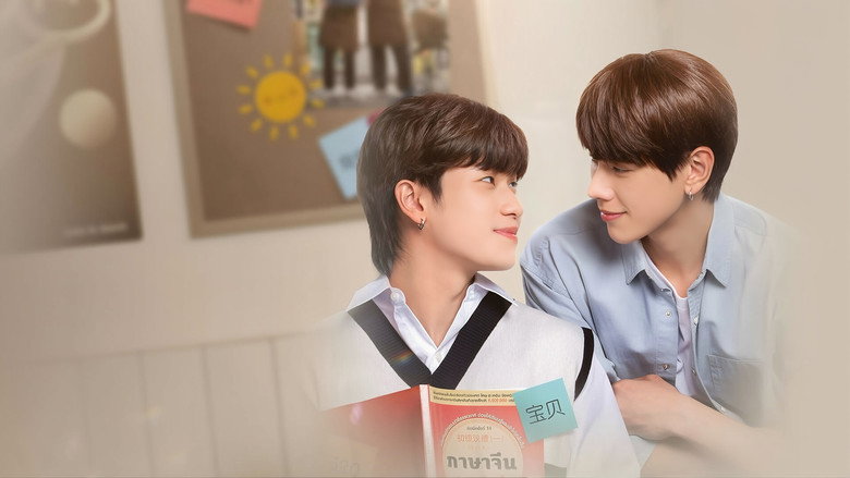 Love In Translation backdrop