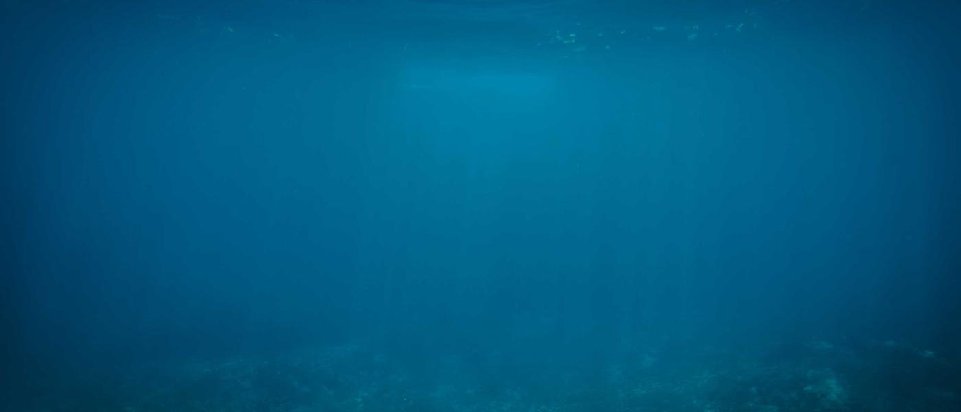Ébano backdrop