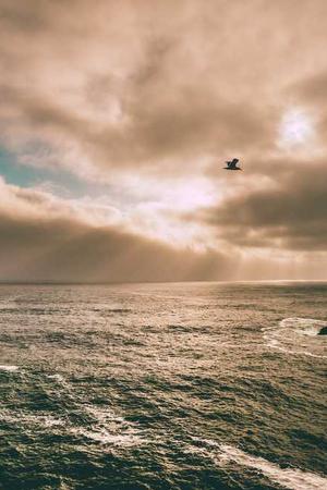 Thena (2025) poster