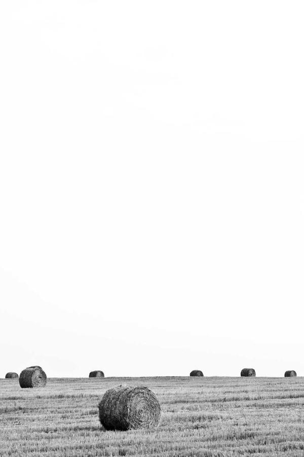 Situations Vacant poster