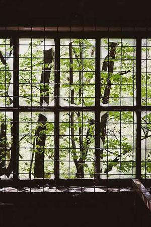 又见花儿开 (2003) poster