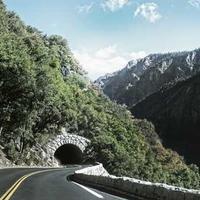 Liz Larsen