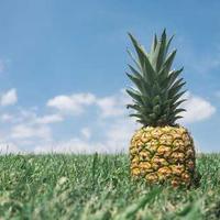 Paolo Hewitt
