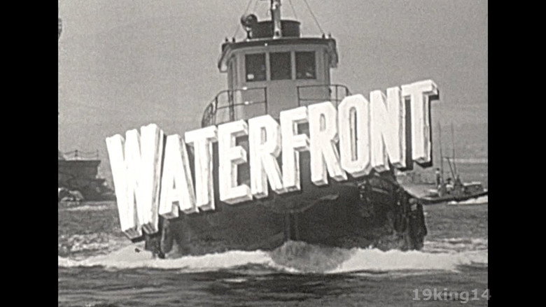 Waterfront backdrop